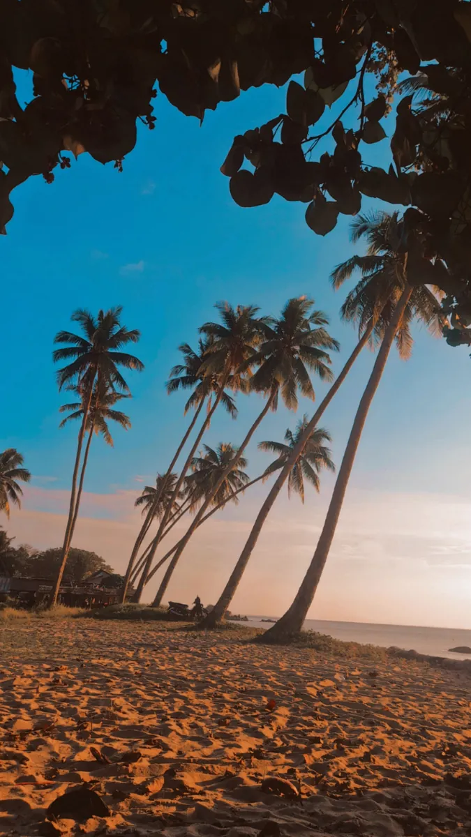 Jaffna to Trincomalee
