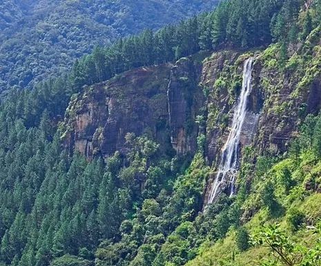 Bambarakanda waterfall in the Badulla region
