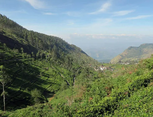 Tea plantations and mountain scenery around Lipton's Seat in Haputale