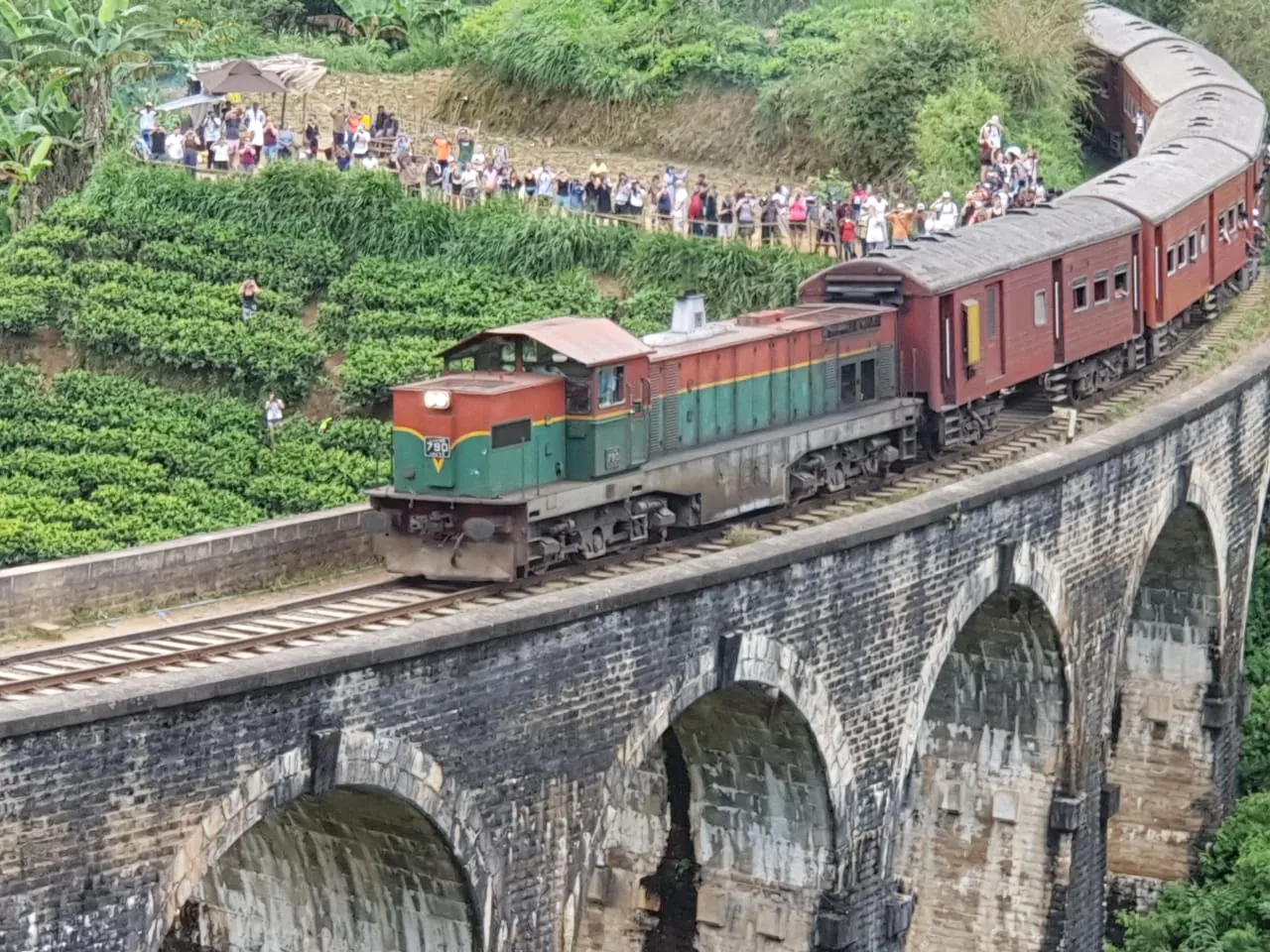 Nine Arch Bridge surrounded by tea country near Ella
