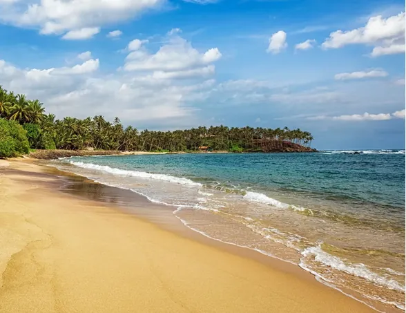 Golden sand beach at Mirissa, Sri Lanka